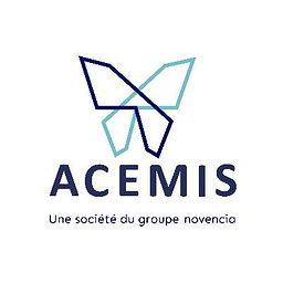 Logo Acemis conseil