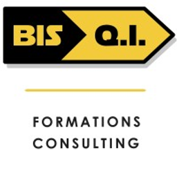 Logo Bis Q.i