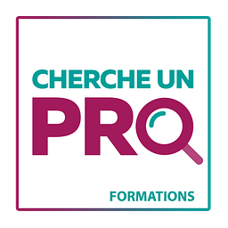 Logo Cherche un pro formation - coaching - seo - wordpress