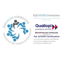 Logo Equanime formation
