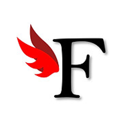 Logo Flyness training