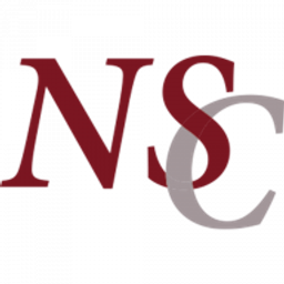 Logo Nouvelles synergies conseil