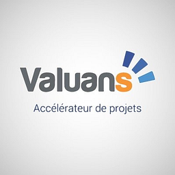 Logo Valuans